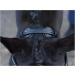 Buy Busse Bridle Emotion Black/Crystal for Ponies - Premium Quality & International Shipping - Buy Online on GoSupps.com