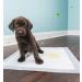 BPS BPS-2166 BPS-2170 Training Documents for Dogs & Cats - Pheromone-Infused Puppy Training Pack of 20 (60x90 cm) - International Shipping Available - Buy Online on GoSupps.com