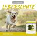 Alfavet Hepatosan 1600 | Liver Support Supplement for Dogs | 120 Tablets | Enhance Liver Function with Distula Thistle | Buy Now! - Buy Online on GoSupps.com