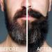 Arlo 2-in-1 Beard Wash & Conditioner 12 oz. - Pro Growth Formula - Buy Online on GoSupps.com