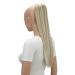 CAISHA 22" Hairpiece Ponytail Extension Heat-Resistant Synthetic Fiber Straigth Natural Blonde With Highlights PH528 natural blonde with highlights #16H613 PH528