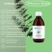Buy High-Dose Vegan Astaxanthin 250ml - 50 Daily Doses of 8mg | Liposomal & Gluten-Free | More Effective than Serum & Capsules | Made in Germany - Buy Online on GoSupps.com