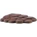 Zerodis Resin Turtle Basking Floating Island Ramp - Aquarium Decor for Semi Aquatic Animals - Buy Online on GoSupps.com