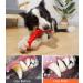 Indestructible Acecy Dog Toys - Interactive Chewing Bones for Large & Medium Dogs & Puppies - Buy Online on GoSupps.com