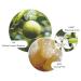 Molton Brown Orange & Bergamot Fine Hand Wash Refill 400ml - Old Version - Buy Online on GoSupps.com