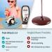 Buy Body Attack Vegan Chocolate Dessert Sauce - 2 x 320ml | Delicious Cocoa Flavor for Ice Cream & Desserts | International Shipping Available - Buy Online on GoSupps.com