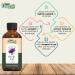 Myrtle Oil | Pure & Natural Essential Oil for Aromatherapy Diffusers Skincare & Hair Care - 30ml | Best International Shipping - Buy Online on GoSupps.com
