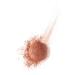 Bourjois Blush Santal - Long-lasting Radiant Cheek Color for All Skin Types | Shop Internationally - Buy Online on GoSupps.com