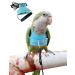 Bird Flight Harness Vest, Parrot Flight Suit with Leash for Parakeets Cockatiels Conures Budgies, Bird Flying Clothes with Rope and Handle for Outdoor Activities Training, Anti Bite Medium Blue