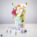 Colour Mill Edible Food Paint - 20ml Nude | Cake Cookie Dye for Baking and Fondant - Buy Online on GoSupps.com