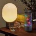 Lightahead LED Mini Desktop Fantasy Fish Lamp - Color Changing Aquarium Mood Lamp, Perfect Gift - Buy Online on GoSupps.com