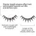 MSQ 5 Pairs Natural Lashes Wispy Lashes Natural Look False Eyelashes Natural Flared Eyelashes False Eye Lashes Soft Fluffy Lashes Black - Buy Online on GoSupps.com