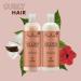 Shea Moisture Coconut & Hibiscus Curl & Shine Shampoo and Conditioner Set - Family Size (16 Fl Oz Ea) | With Coconut Oil, Vitamin E, Neem Oil for Frizz Control - Curly Hair Products - Buy Online on GoSupps.com