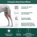 Ortocanis Dog Knee Brace - Large Size, Left Leg | Support for Cruciate Ligament Injuries, Patella Dislocation, and Osteoarthritis - Buy Online on GoSupps.com