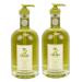 Cucina Purifying Hand Wash Coriander and Olive Tree 16.9 Fl Oz Glass Bottle by Cucina