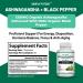 Simply Potent Ashwagandha Capsules Organic Ashwagandha Supplement with Black Pepper High Absorption Ashwagandha Root Pills 650 mg Ashwagandha Extract for Stress Immune Energy & Mood Support 60 Ct - Buy Online on GoSupps.com