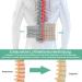 Hongjing Inflatable Decompression Back Belt for Lower Back Pain Relief | Adjustable Lumbar Support 29-49 Waist | Beige - Buy Online on GoSupps.com