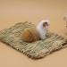 12 Pack Woven Grass Mat Rabbit Natural Straw Woven Bed Mat Woven Hay Rabbit Bedding Cage Liner Chewable Beds Resting Mats Toys for Guinea Bunny Hamster 11x8 Inch - Buy Online on GoSupps.com