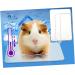 ULTECHNOVO Rabbit Cage Indoor Rabbit Cage Rabbit Cool Plate Pet Cooler Hamster Cool Plate Accessories Travel Cold Rabbit Supplies - Buy Online on GoSupps.com