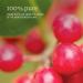 NOW Wintergreen Oil 1-Ounce (Pack of 2) - Pure Essential Oil Blend for Pain Relief - Buy Online on GoSupps.com
