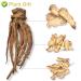 Buy Organic Angelica Root 70g - Dried Cut Root & Tea | Premium Archangelica Officinalis for Herbal Remedies - International Shipping - Buy Online on GoSupps.com