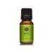 P&J Trading Fragrance Oil | Basil Oil 10ml - Candle Scents for Candle Making Freshie Scents Soap Making Supplies Diffuser Oil Scents