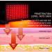 DGYAO Red & Near Infrared Light Therapy Belt with Pulse Mode - Pain Relief Light Therapy Device - Wearable Wrap for Back, Joint, Muscle Pain - Timer & Max 51 S22 Pad - Buy Online on GoSupps.com