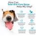 VetSmart Formulas Dog Breath Freshener Spray with Aloe Vera - Oral Hygiene for Dogs and Cats - Plaque and Tartar Remover - 1 Pack - Buy Online on GoSupps.com