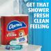 Charmin Flushable Wipes - 480 Total Wipes, 12 Packs of 40, Packaging May Vary - Buy Online on GoSupps.com