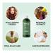 Maple Holistics Degrease Moisture Control Shampoo 16 oz | Oil Control & Clarifying Formula - Buy Online on GoSupps.com