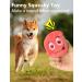 Tongktai Plush Dog Toys - 4-Pack Squeaking Interactive Plush Balls for Puppies & Small Pets | Soft Retrieval Play Toys in Pink Red Yellow & Green - Buy Online on GoSupps.com