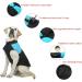 Buy Femax Waterproof Dog Coat - Warm Padded Jacket for Small to Large Dogs Winter Pet Clothing for Cold Weather - Blue M (Breast 38cm Back 30cm) - Buy Online on GoSupps.com