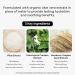 Whamisa Organic Seed Hydrogel Mask Set (5EA) - Rejuvenate Your Skin with All-Natural Hydration | International Shipping Available - Buy Online on GoSupps.com
