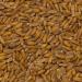 Wholefood Earth Organic Spelt Grain 500g - GMO Free, Vegan, High Fibre | Certified Organic - Buy Online on GoSupps.com