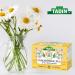 Tadin Manzanilla Chamomile Tea 24 ct - Pack of 2 | Soothing Herbal Tea Blend - 48 Tea Bags Total - Buy Online on GoSupps.com