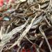 Pu-erh tea 2019 Lao Ban Zhang Zhengqitang 500-year-old tree 357g Raw - Buy Online on GoSupps.com
