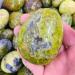 Home Decor 380g Natural Crystal Opal Palmetto Stone Gifts Natural Crystal Draw yuebang Reiki Crystal Stone - Buy Online on GoSupps.com