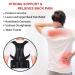 Back Brace Posture Corrector for Men & Women - Pain Relief & Posture Support with Metal Splints - Adjustable Straps Waist Trainer for Spine Alignment - Lumbar & Hunchback Straightener - Buy Online on GoSupps.com