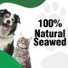 Pooch & Purr Plaque Off Remover For Dog/Plaque Off Cats. Plaque Off Powder For Dogs No Tooth Brush or Toothpaste Needed. Dog & Cat Teeth Cleaning. Dog Plaque Remover Fights Tartar & Bad Breath. - Buy Online on GoSupps.com