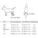 Dog Wheelchair Pet Wheelchair for Handicapped Lightweight Adjustable Wheelchair for Back Legs for Small Medium Large 2-Wheel Red - Buy Online on GoSupps.com