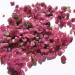 Natural Rough Tourmaline Stones Raw Crystal Stone Chips for Fishbowl Decoration (Color : 200g) - Buy Online on GoSupps.com