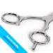 Equinox Barber & Salon Styling Series 6.0 Hair Cutting Scissors/Shears - Professional Grade - Buy Online on GoSupps.com
