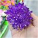 Natural Crystal Electroplate Cluster Stone RawCrystals Rock Specimen Home Decor Gifts Room Decoration Full of Texture - Buy Online on GoSupps.com