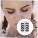 Beavorty 5 Pairs Fake eyelashes false eyelashes soft light fake lash artificial eyelashes black accent decor hand decor 3D black trim Natural Eyelashes dense Miss Adhesive Imitation - Buy Online on GoSupps.com