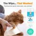Nootie Waterless Shampoo Wipes for Dogs & Cats - Long Lasting Sweet Pea & Vanilla Fragrance - 70 Count - Made in USA - Trusted by 3000+ Vet Clinics - Buy Online on GoSupps.com