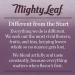 Mighty Leaf Tea Green Whole Leaf Tea Bags - Green Tea Tropical 15 Count | Pineapple, Guava & Tropical Fruit Flavors | Light Caffeine - Buy Online on GoSupps.com
