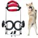 Dog Wheelchair Aluminum Alloy Pet Wheelchair 2-Wheel Full Support Pet Rehabilitation Wheelchair Pet Wheelchair Cart for Hind Leg Rehabilitation Disabled Dog Medium