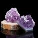 1/5/10PC 1PC/10-20g Natural Purple Brazilian Amethyst Quartz Crystal Cluster Geode Stones Specimen Home Decor Crafts Ornament (Color : 10Pc) - Buy Online on GoSupps.com