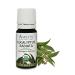 Amrita Aromatherapy Organic Eucalyptus Radiata Essential Oil 100% Pure Undiluted Eucalyptus Radiata Therapeutic Grade Premium Quality Aromatherapy Oil Tested & Verified 10ML