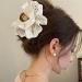 Limtula Lace Princess Large Hair Claw Clip Flower Hair Jaw Clip Balletcore Hair Catch Barrettes Hair Adornment Hair Ornamentatio Beige - Buy Online on GoSupps.com